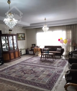 ۱۱۵ متر سرمایه گذاری / سالن پرده خور / بدون مشرف