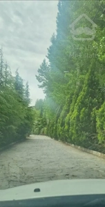 ۱۵ هزار متر ویلا اوشان