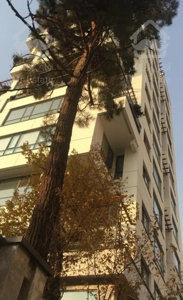 ۲۱۰متر کامرانیه شمالی