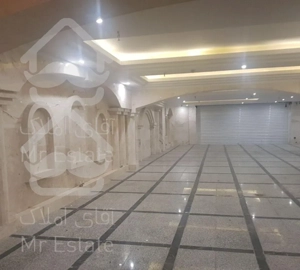 ۱۶۵ متر نوساز نورگیر پانوراما