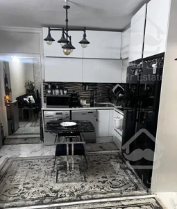 ۴۳ متر /گلچین طبقات/ آسانسور دار/امیر بهادر