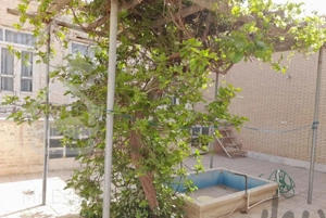 اجاره کوتاه مدت منزل دربست