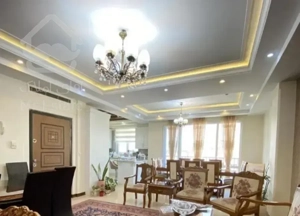 ۱۱۵ متر /فستیوال نور و نقشه/خرید مستقیم از سازنده