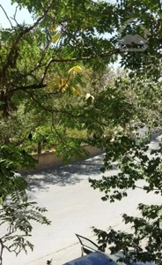 148 متر 3 خواب