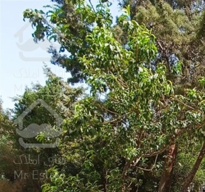 درکه ۱۱۰ متر بنا دربستی / سکونت و کار