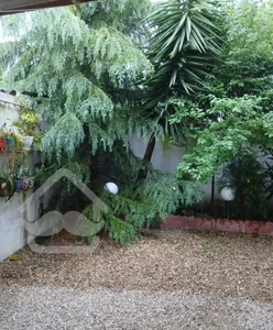 اجاره خانه حیاط دار