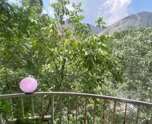 ویلا نقلی سنددار در میگون با پایانکار