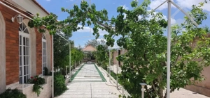 باغ ۷۰۰ متری سند دار
