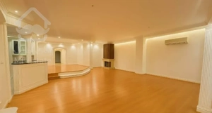 ۲۹۵ متری با موقعیت طلایی/سرمایه گذاری و بازسازی