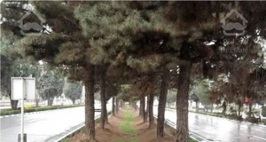 72متر خوش نقشه بلوار ارم