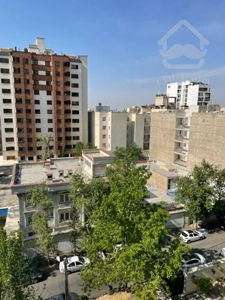 فروش146 متری دولت