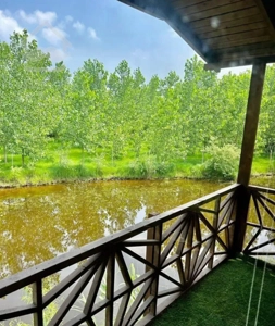 ملک در مکان آبی و جنگلی