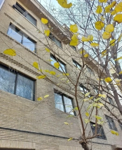 هفت تیر، بهار شیراز(۱۱۰متر،پارکینگ و انباری )