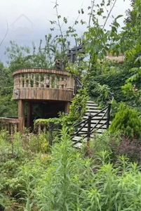 ویلای خاص جایی طبیعت و لوکس بودن هم‌نشین‌اند