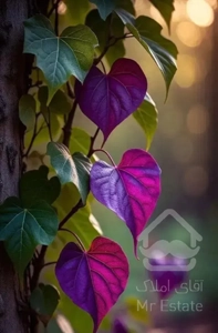 مسکونی  گلستان کوی لاله