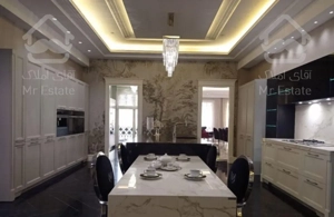 پنت هاوس ۵۳۳ متر چهار خواب نیاوران