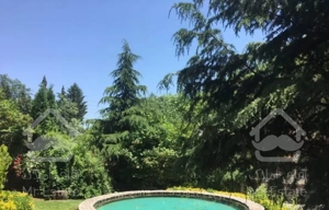 خونه جنگلی با ویو جنگل بکر و صدای آب روان کلاردشت