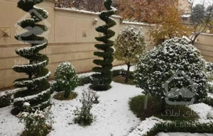 ۲۵۵ متر* فرعی مشجر و دنج* کامرانیه*دوبلکس