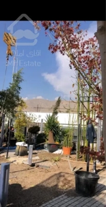 تندیس اقاقیا/فروش محدودی از واحدها مستقیم از شرکت