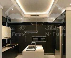 ۳۰۰ متر نوساز مشاعات هتلینگ فرعی دنج نیاوران