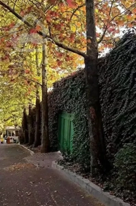 اجاره آپارتمان تک واحدی بهداری ۱۳۰ متر