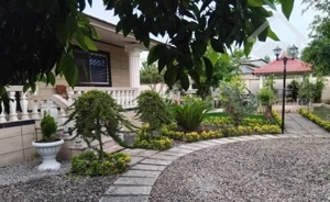 بهشت آوردم برات باغ مرکبات ۶۰۰مترسند/بافت/پروانه