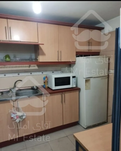 فروش ملک کلنگی دوکله در دهکده المپیک