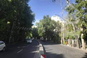 مغازه  بر ولیعصر  باغ  فردوس  ۵۵  متر    اجاره