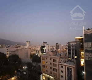 ۲۶۰ متر خیابان الف / ویو کامل پارک / تک‌واحدی