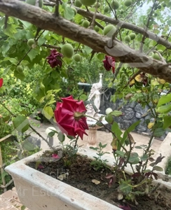 منزل دو طبقه نوساز نصراباد پیشکوه