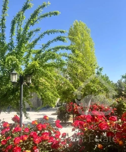 فروش باغ ویلایی جاده صدرا