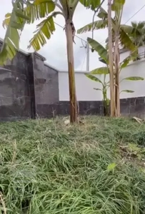 فروش ویلا ۲۵۰متری با چشم انداز کم نظیر