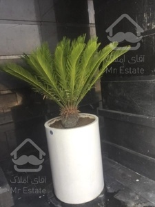 واحدهای ۸۰ متری / اقساطی / چیتگر