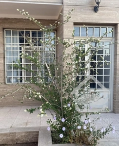 منزل مبله تمیز