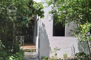 اجاره واحد ۱ خواب ۹۰ متری نور