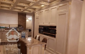 گلستان شمالی ۲۵۰متر(سرمایه گذاری)