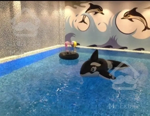 مجتمع آرین ۲. استخر دار. بازسازی شده