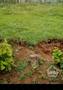 اجاره سوئیت تک خواب