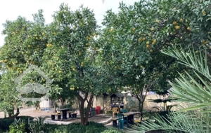 ویلای ساحلی یه خوابه