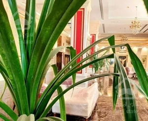 ۹۸ متر/سرمایه گذاری،خوش نقشه/فردوس غرب