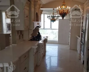 ۲۰۰ متر نیاوران فرعی دنج