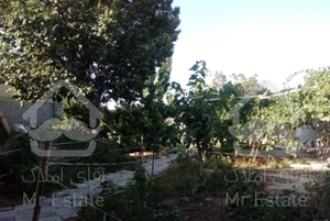 خانه ویلایی بزرگ