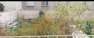 اجاره آپارتمان حیاط اختصاصی،دوم تهرانپارس، تخلیه