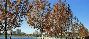 ۵۸ و ۹۰ متری در قلب دهکده المپیک قرار داد محضری