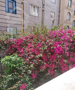 آپارتمان ۱۰۰متر دو خواب فول امیربهادر