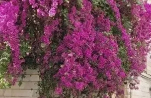 ۵۰ متر زیر همکف بازسازی شده