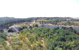 ۱۴۰ متر ،جنوبی،ویو کامل جنگل چیتگر