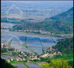 اجاره ویلا جنگلی