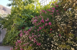 خونه باغ 400متری ویلایی بیست دقیقه ای شیراز