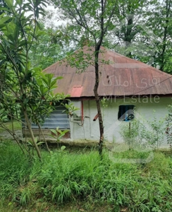 ویلا قدیمی با ۱۴۰۰ متر زمین جاده سیاهکل به دیلمان